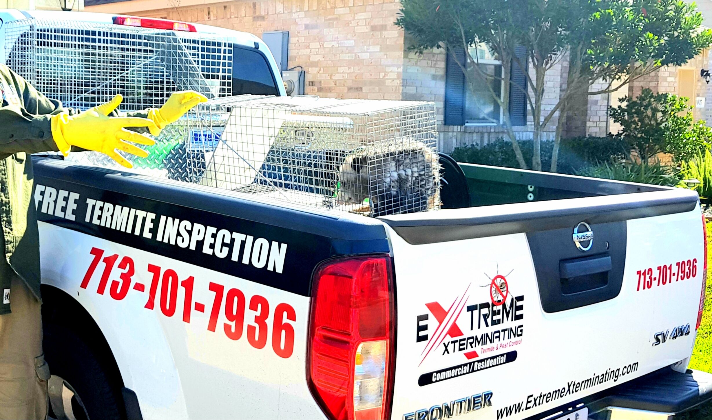 Pest Control Service Houston Texas